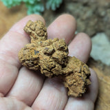 Dino Poop~ Coprolite~CRFCDP05