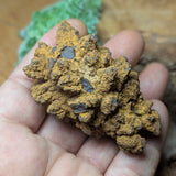 Dino Poop~ Coprolite~CRFCDP16