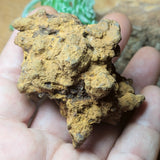 Dino Poop~ Coprolite~CRFCDP18