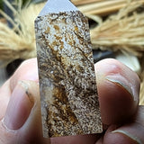 Golden Healer Dendritic Quartz Tower~CRGHDQT2