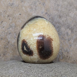 Septarian Nodule Egg~CRSNEGG1