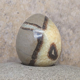 Septarian Nodule Egg~CRSNEGG1