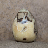 Septarian Nodule Egg~CRSNEGG2
