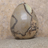 Septarian Nodule Egg~CRSNEGG2