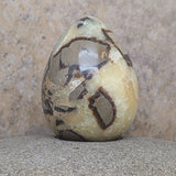 Septarian Nodule Egg~CRSNEGG2