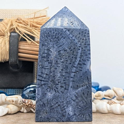 Blue Coral Generator~CRBLCR09