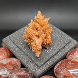 Spiky Red Dogtooth Calcite~CRSRDC04