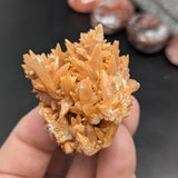 Spiky Red Dogtooth Calcite~CRSRDC07