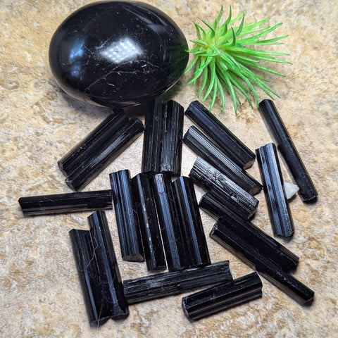 Black Tourmaline HG Crystal~CRHGBT08