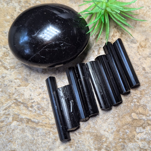 Black Tourmaline HG Crystal~CRHGBT09