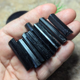 Black Tourmaline HG Crystal~CRHGBT09