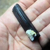 Black Tourmaline HG Crystal~CRHGBT33