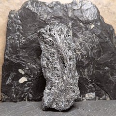 Stibnite Cluster~CRSTIB11