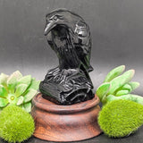 Black Obsidian Raven Carving~CRORAVEN