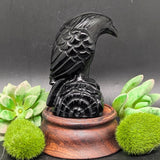 Black Obsidian Raven Carving~CRORAVEN