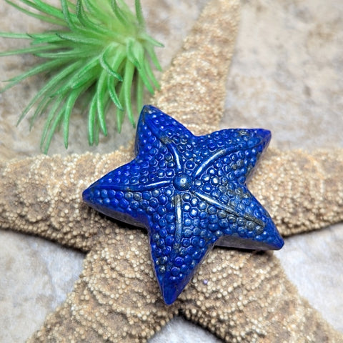 Lapis Starfish Carving~CRLAPSF2