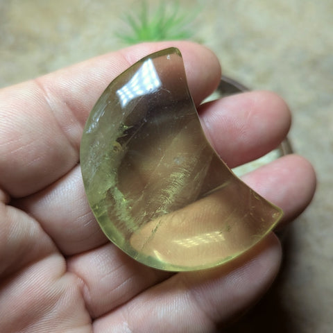 Citrine Moon~CRCITM02