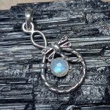 Rainbow Moonstone Dragonfly Pendant~JSSRMDFY