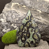 Kambaba Jasper "Flame"~CRKJGSF1