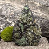 Kambaba Jasper "Flame"~CRKJGSF6