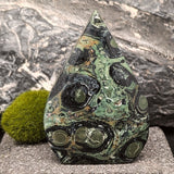 Kambaba Jasper "Flame"~CRKJGSF6