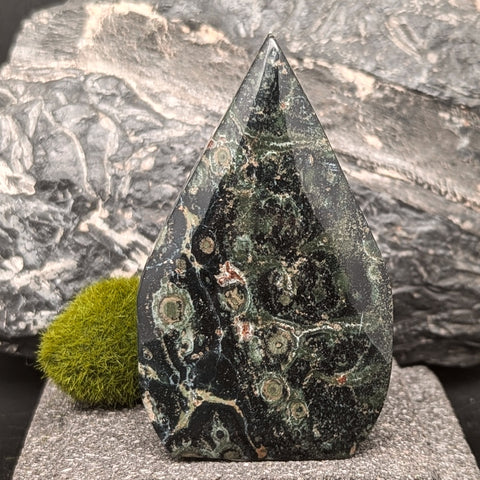 Kambaba Jasper "Flame"~CRKJGSF8