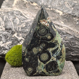 Kambaba Jasper "Flame"~CRKJGSF8