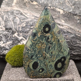 Kambaba Jasper "Flame"~CRKJGSF9