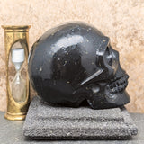 Shungite Skull~CRSHUNSK
