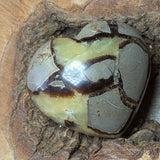 Septarian Nodule Heart~CRSNHRT1