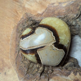 Septarian Nodule Heart~CRSNHRT2