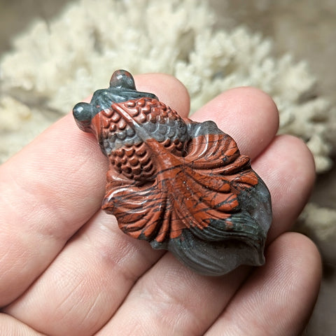 Bloodstone Koi Carving~CRBSKOI5