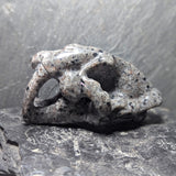 Saber Tooth Tiger Emberlite Carving~CRSSTTEC