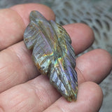 Labradorite Feather Carving~CRLABF08