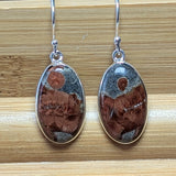 Peanut Obsidian Earrings~JSSEP0B2