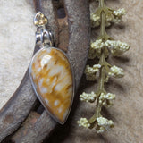 Graveyard Point Plume Agate Pendant~JSSGPPA3