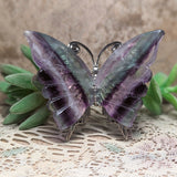 Fluorite Butterfly~CRFLBTY5