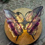 Fluorite Butterfly~CRFLBTY5