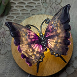 Fluorite Butterfly~CRFLBTY6