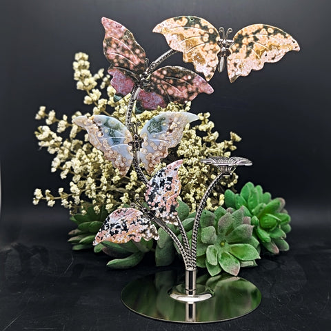 Ocean Jasper Butterflies Display~CROJBFL1