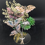 Ocean Jasper Butterflies Display~CROJBFL1