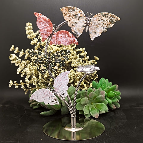 Ocean Jasper Butterflies Display~CROJBFL2