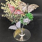 Ocean Jasper Butterflies Display~CROJBFL2