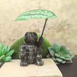 Jade Turtle "Shady" Carving~CRJADET2