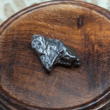 Campo Del Cielo Meteorite~CRCDCM02