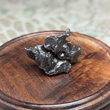 Campo Del Cielo Meteorite~CRCDCM05