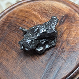 Campo Del Cielo Meteorite~CRCDCM05