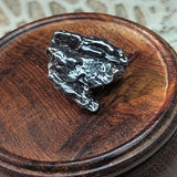 Campo Del Cielo Meteorite~CRCDCM08
