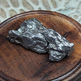 Campo Del Cielo Meteorite~CRCDCM09