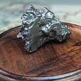 Campo Del Cielo Meteorite~CRCDCM11